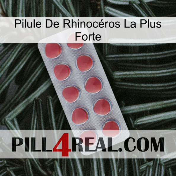 Pilule De Rhinocéros La Plus Forte 18